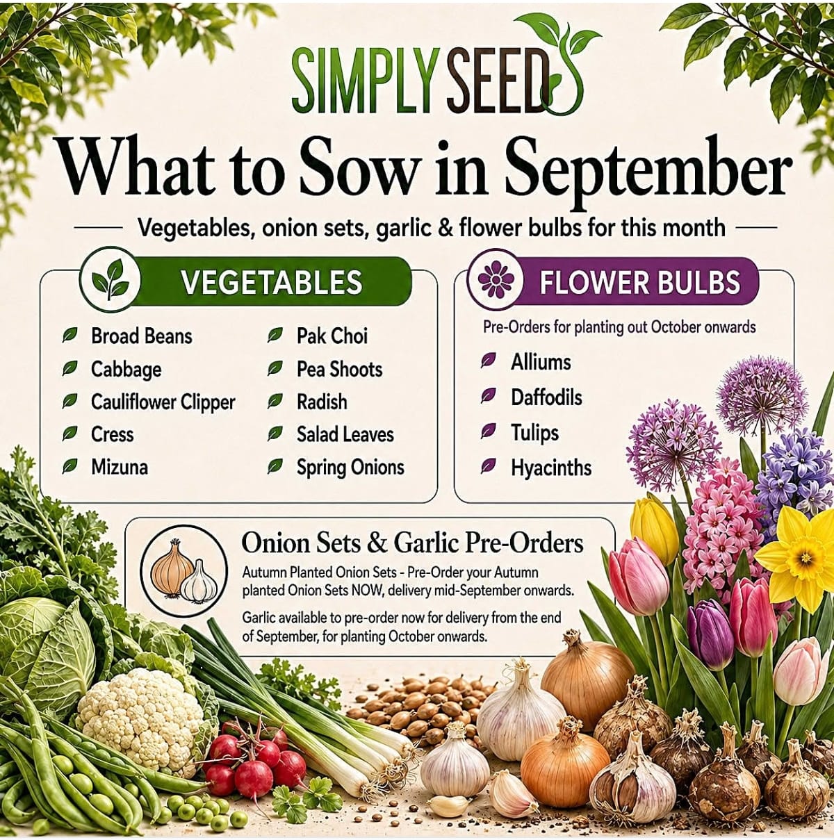 SimplySeed September reference showing vegetables, bulbs, onion sets and garlic. The full list is transcribed above.